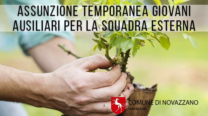 assunzione ausiliari per la squadra esterna