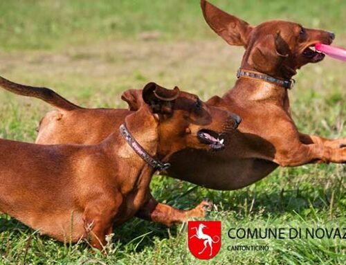 Inaugurazione parco cani a Novazzano 14 giugno 2025